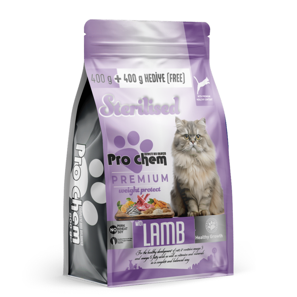 adult lamb adult lamb