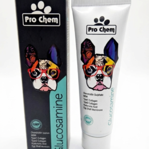glucosamine dog